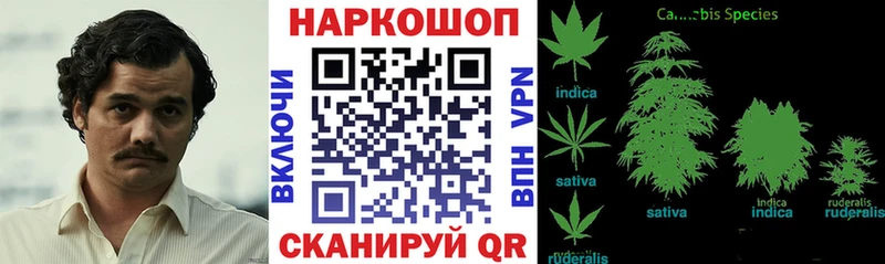 Виды наркотиков купить Инза КОКАИН Амфетамин ГАШ Мефедрон A PVP
