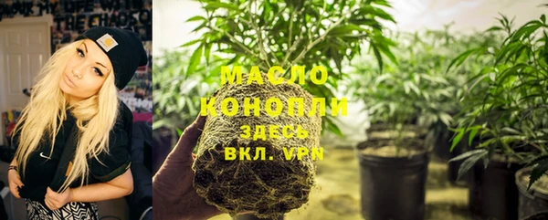 mdpv Заводоуковск